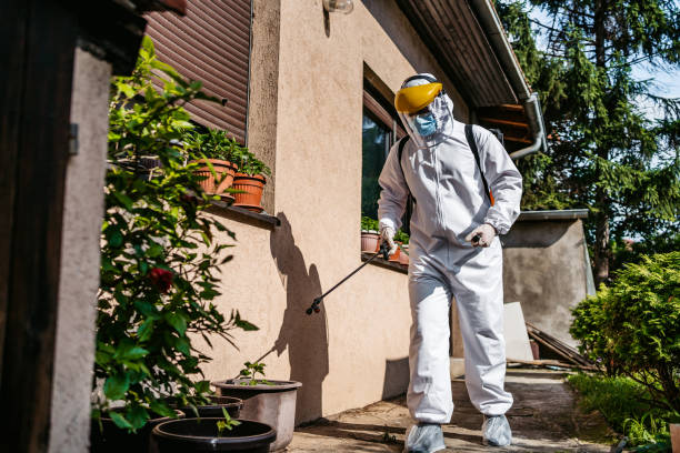 Best Mosquito Control Services  in Loyal, WI