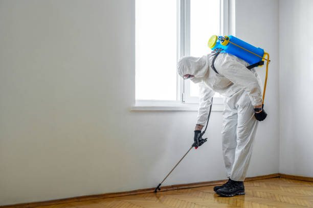 Best Commercial Pest Control Services  in Loyal, WI