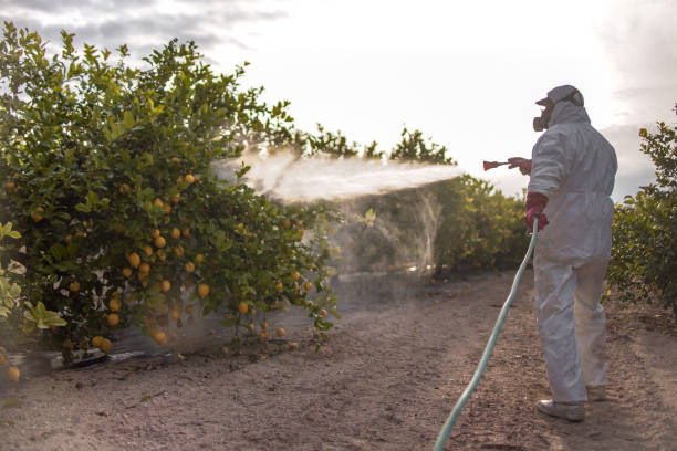 Best Pest Control for Restaurants  in Loyal, WI