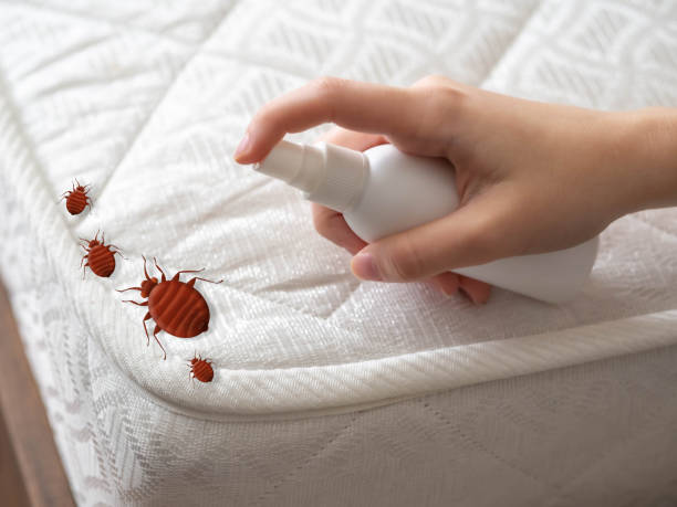 Best Cockroach Control Services  in Loyal, WI