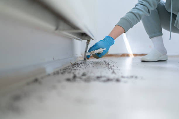 Professional Pest Control in Loyal, WI