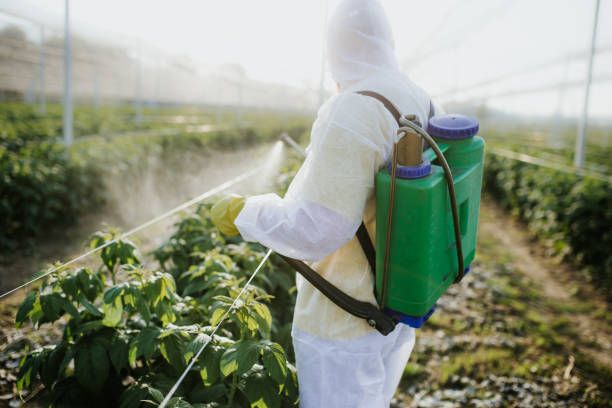 Best Pest Prevention Services  in Loyal, WI